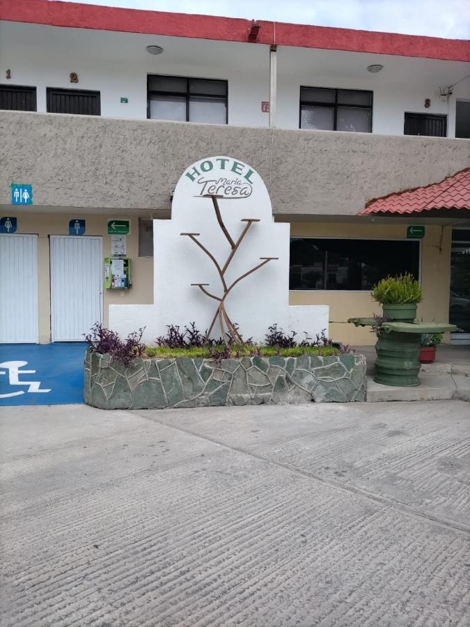 Hotel Maria Teresa Río Verde Екстериор снимка
